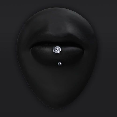 Vertical Labret, Silber, Spinne, Innengewinde, Titan