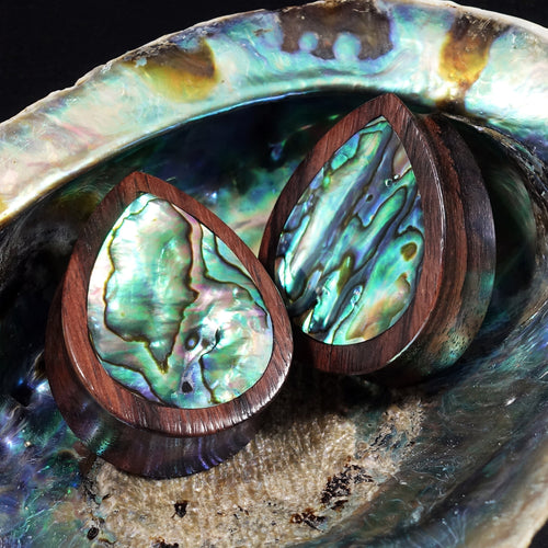 Sono Teardrop Abalone Wood Ear Plug / Gauge