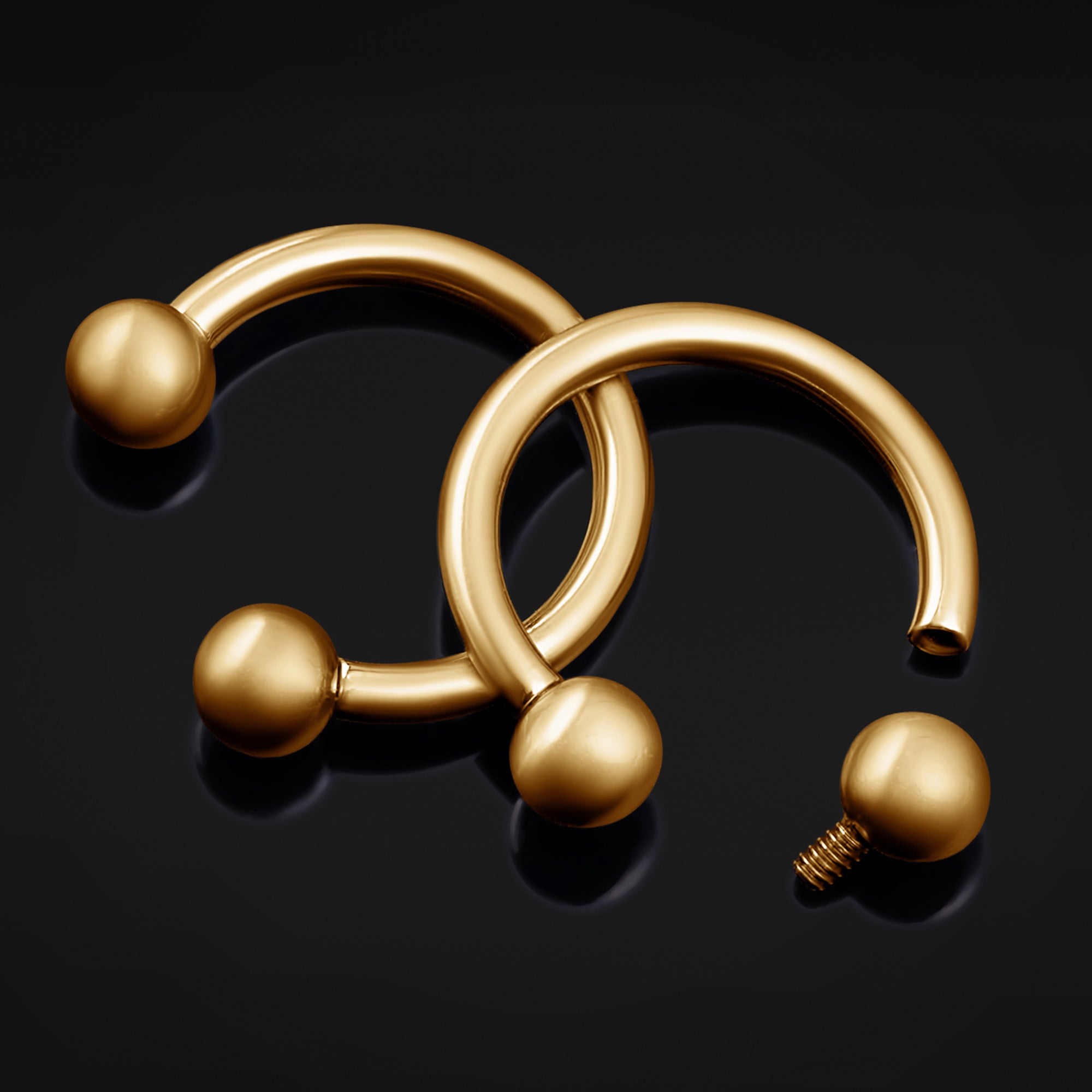 Titanium Internally Threaded Circular Barbell Horseshoe in Gold