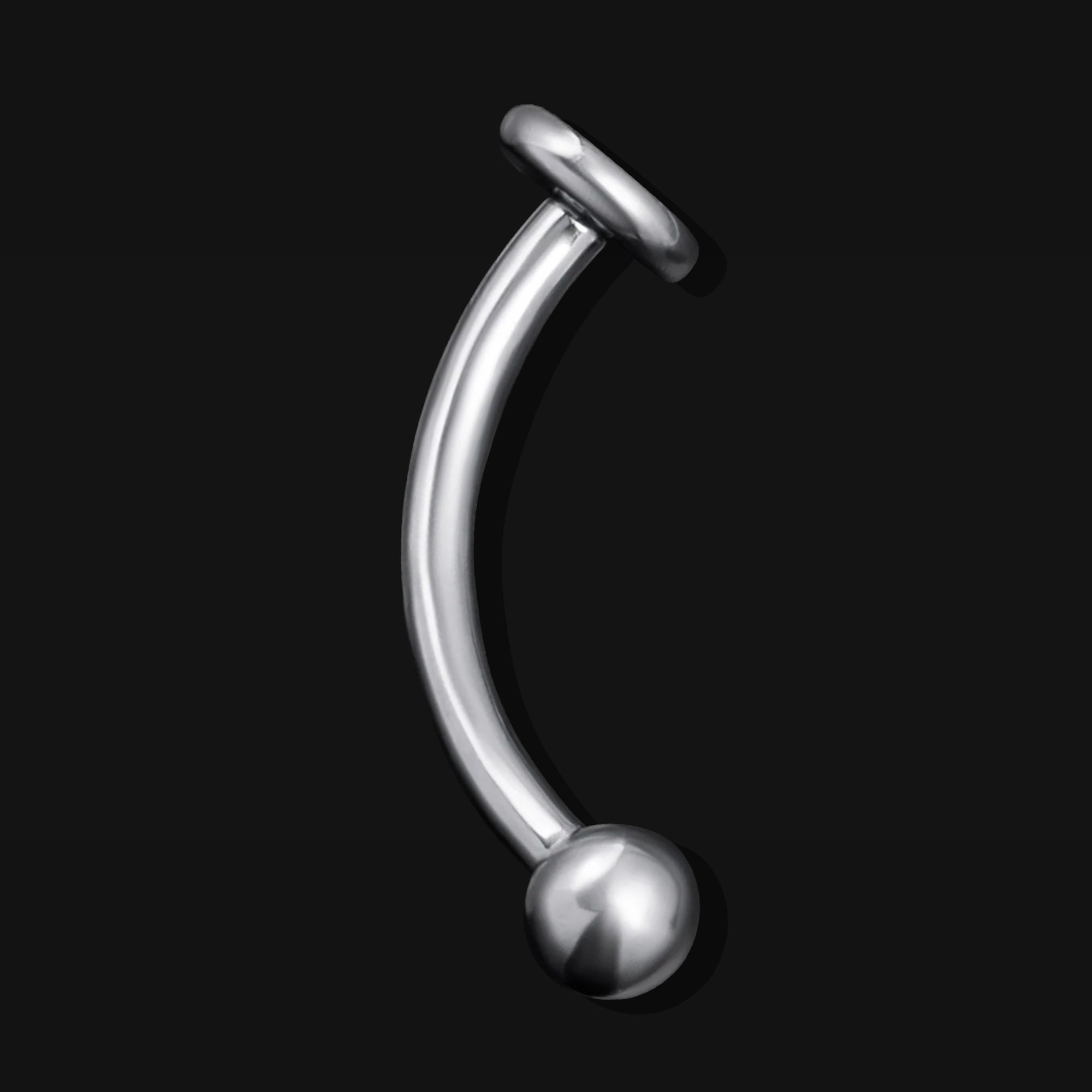 Vertical Labret, Silver, Flat Disk, Internally Threaded, Titanium