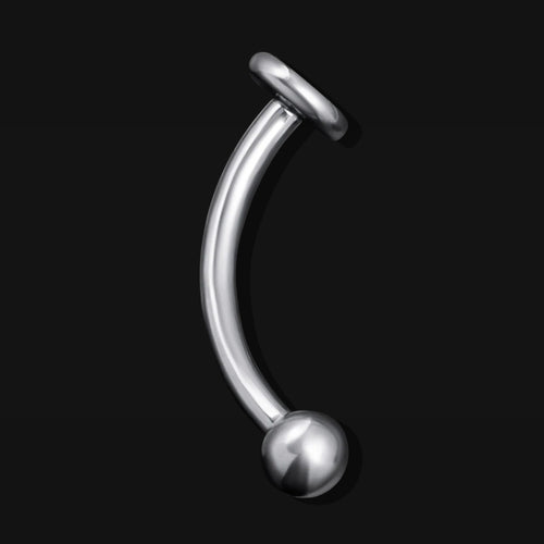 Vertical Labret, Silver, Flat Disk, Internally Threaded, Titanium