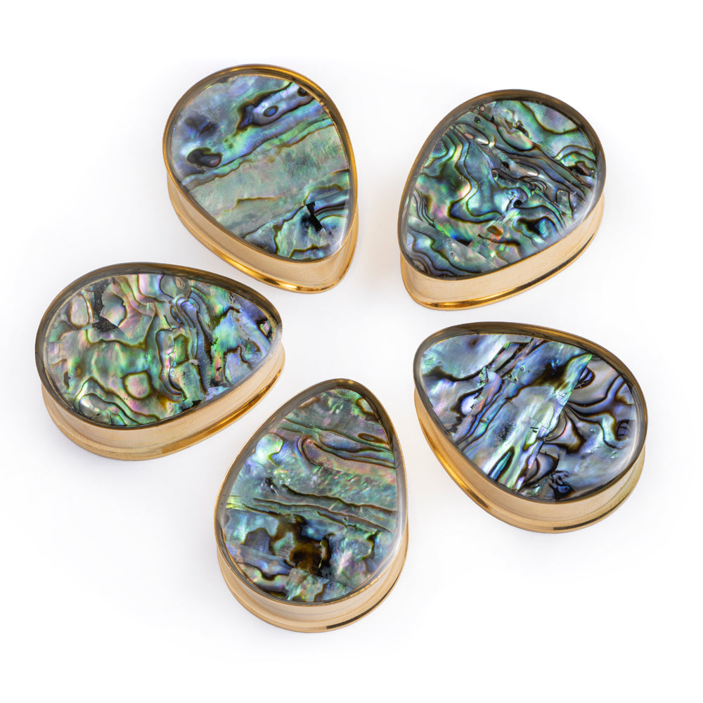 Abalone & Gold Steel Teardrop Plug / gauge