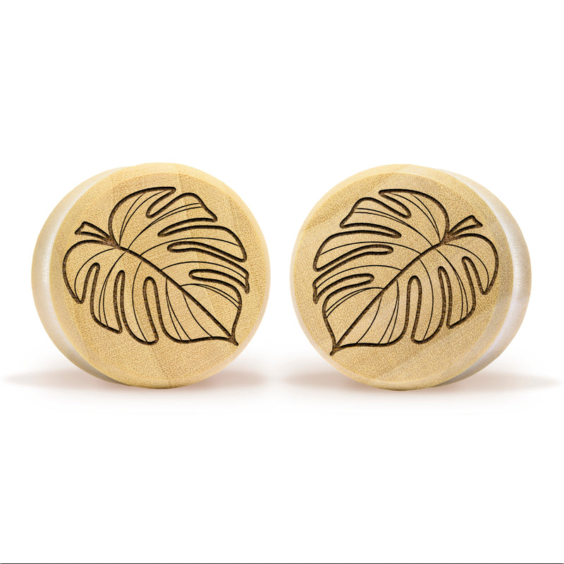 Plug / Gauge Monstera - Bois de crocodile | Face plate double évasé