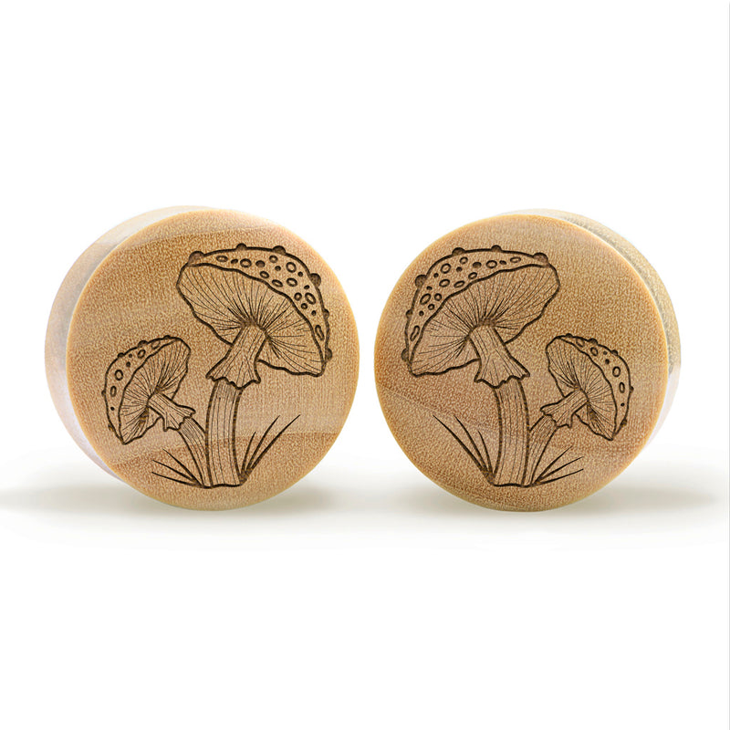 Plug / Gauge Champignon - Bois de crocodile | Convexe double évasé