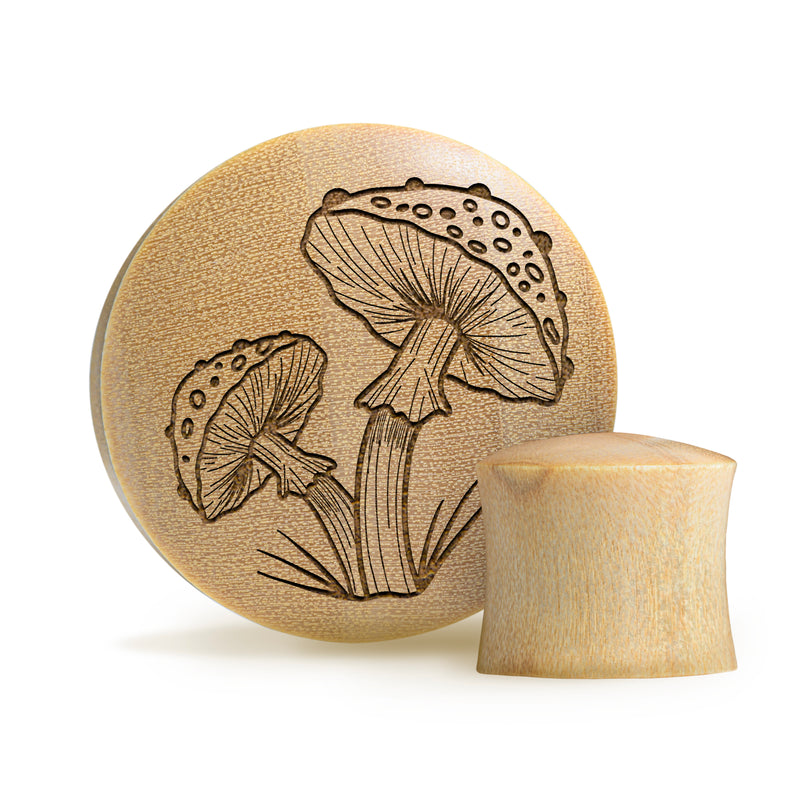 Plug / Gauge Champignon - Bois de crocodile | Convexe double évasé
