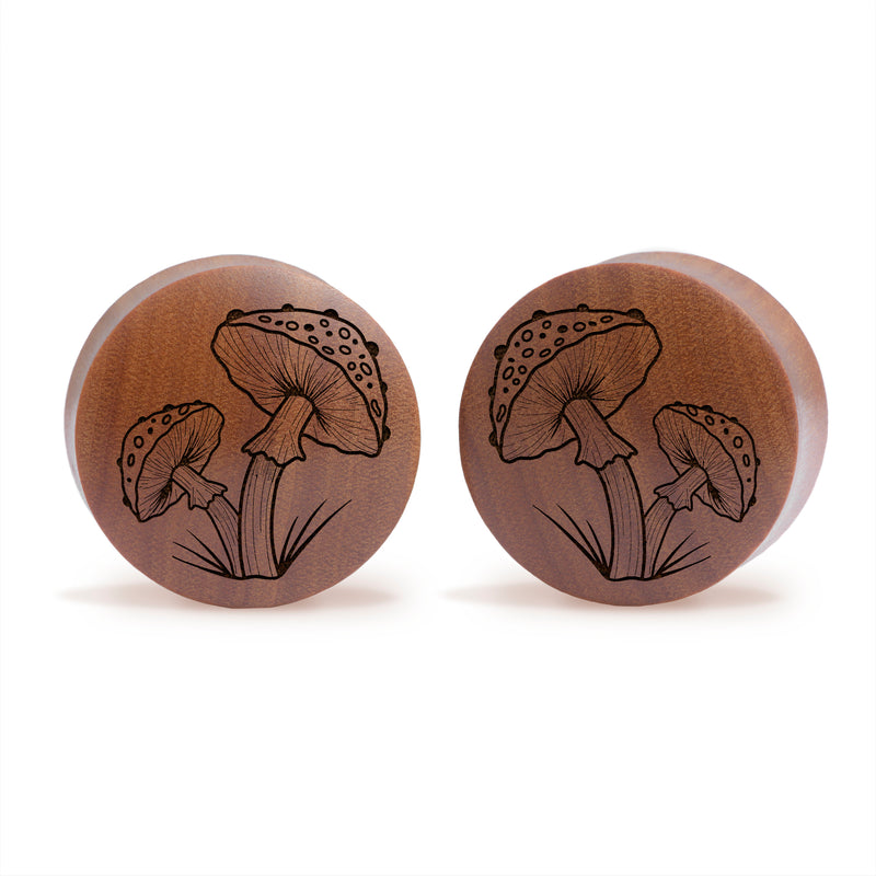 Plug / Gauge Champignon - Bois de Saba | Convexe double évasé