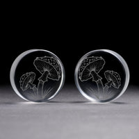 Plug / Gauge Champignon - Verre transparent | Face plate double évasé