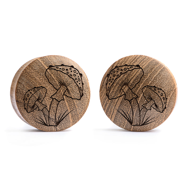 Plug / Gauge Champignon - Bois de teck | Convexe double évasé