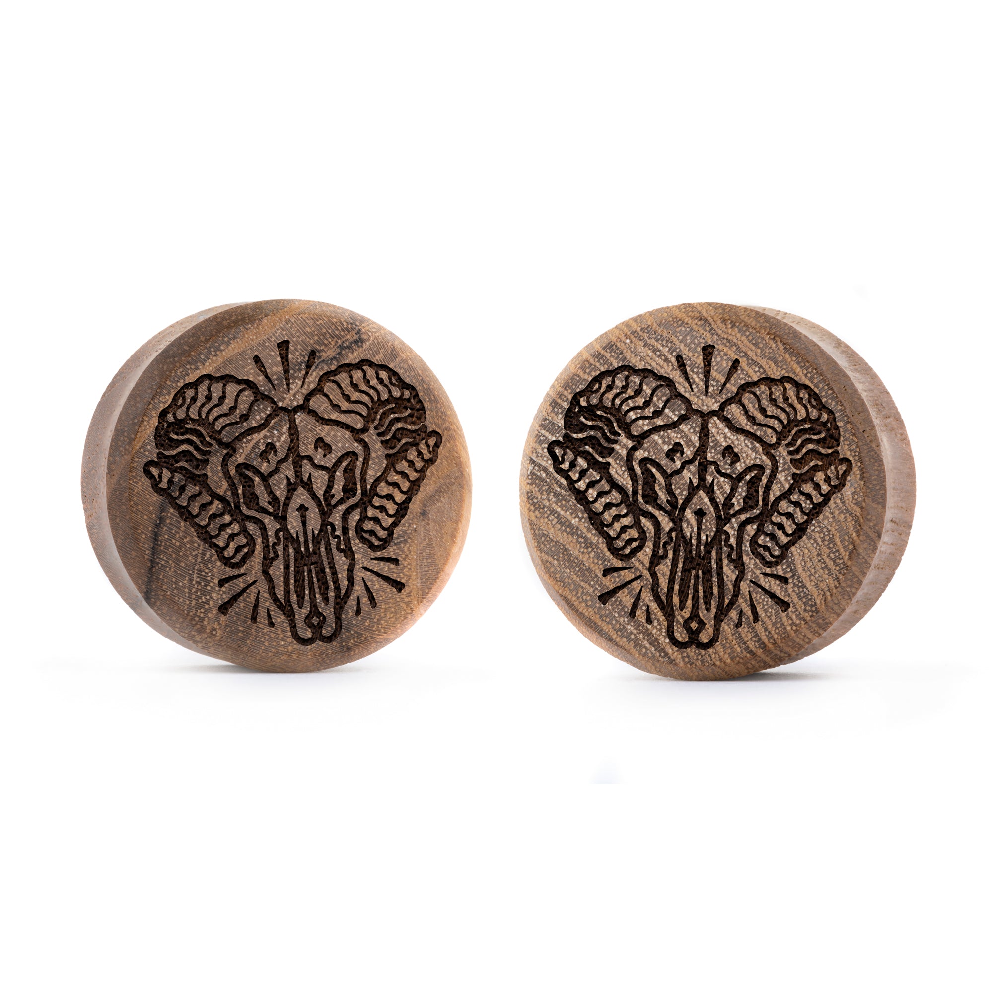 Alternative Tattooed man wearing custom made Sacrificial Lamb Plug / Gauge - Saba Wood | Flat Faced Double Flare