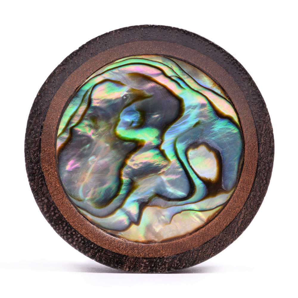Saba & Abalone Holz Ohr Plug / Gauge
