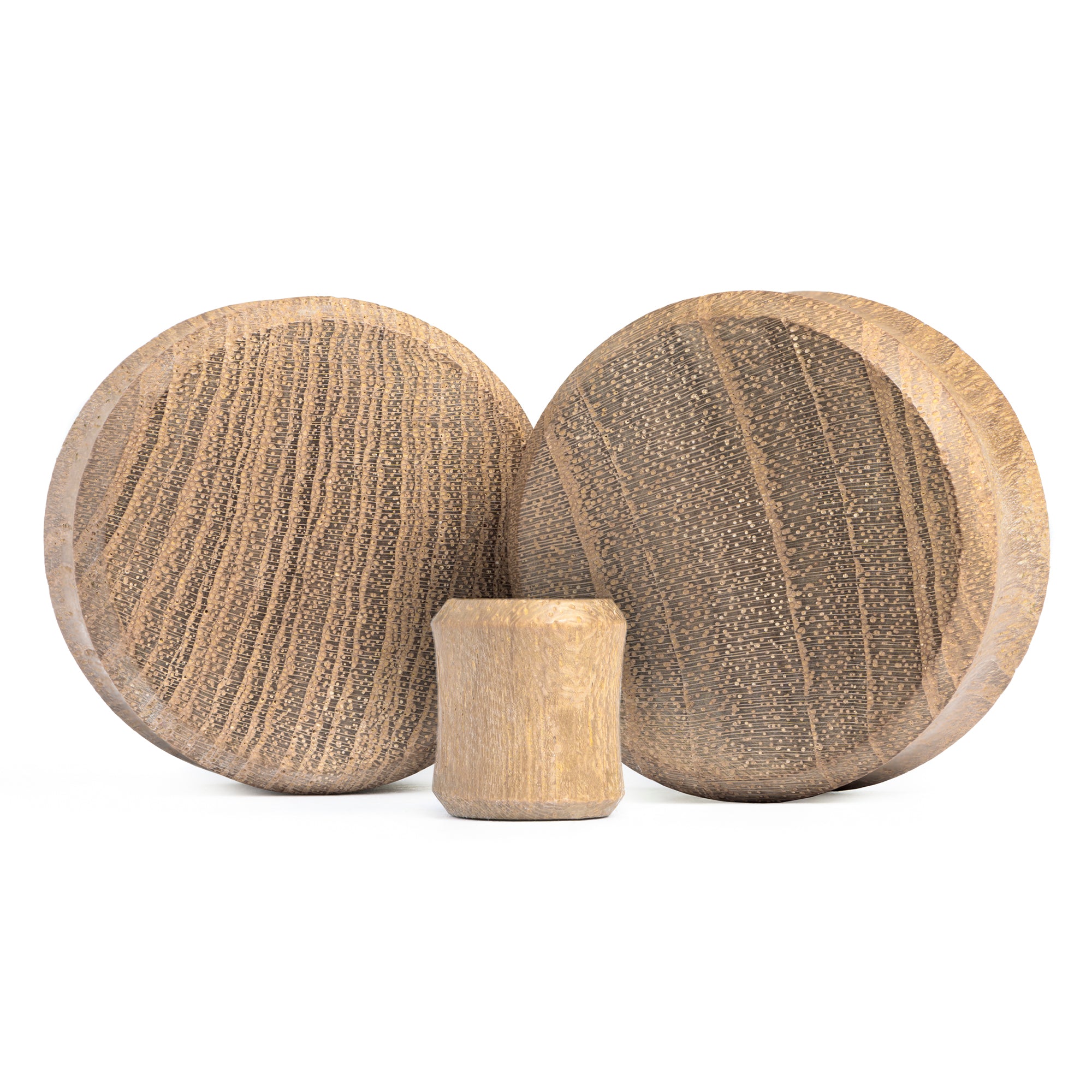 Alternative Gold Screwback Stainless Steel Ear Tunnel