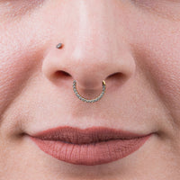 Septum clicker, or, serti transparent, titane, 1.2mm