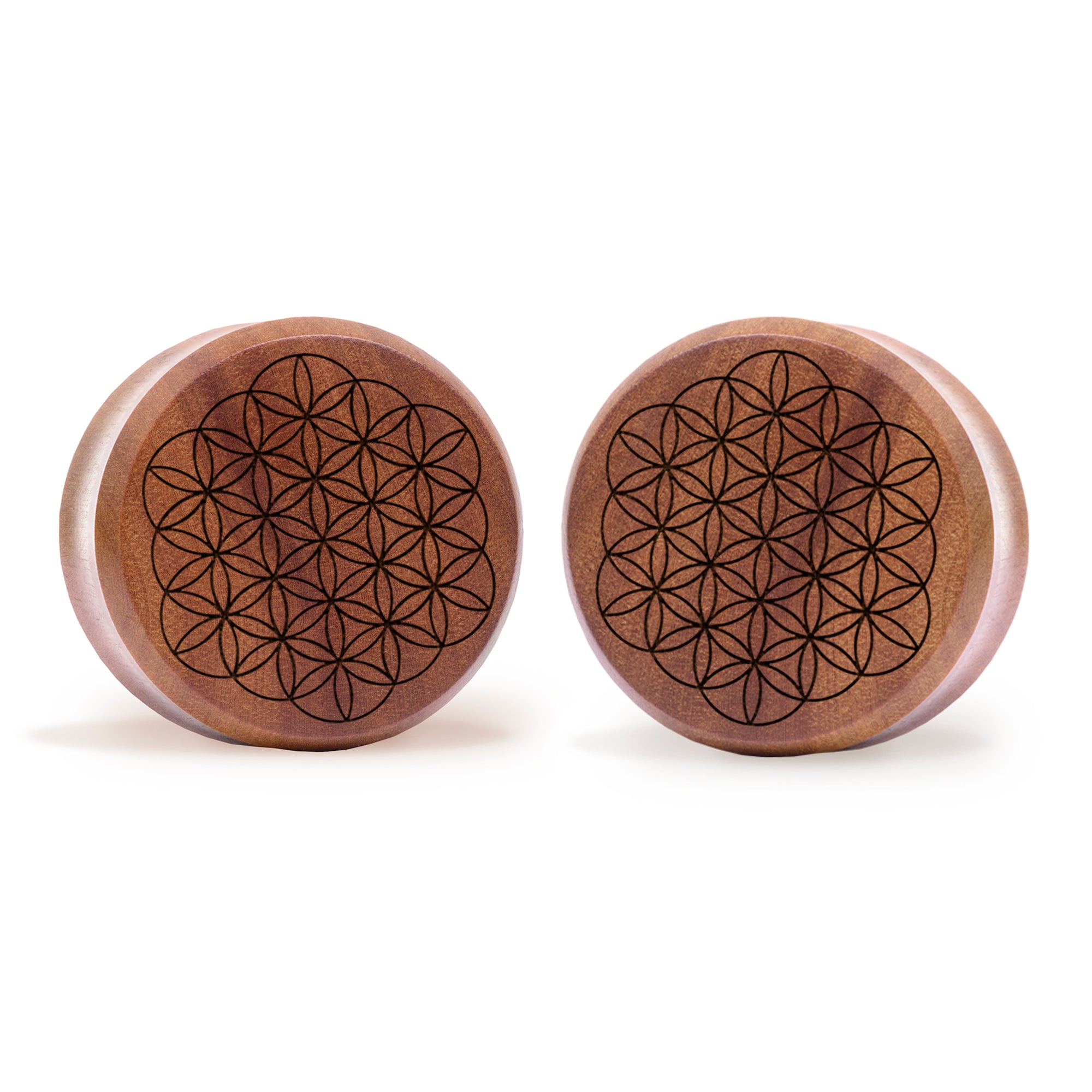 Unalome Plug / Gauge - Teardrop Saba Wood | Flat Faced Double Flare