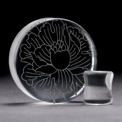 Glass tunnel shop plug