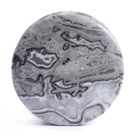 Picasso Jasper Stone Plug / Gauge
