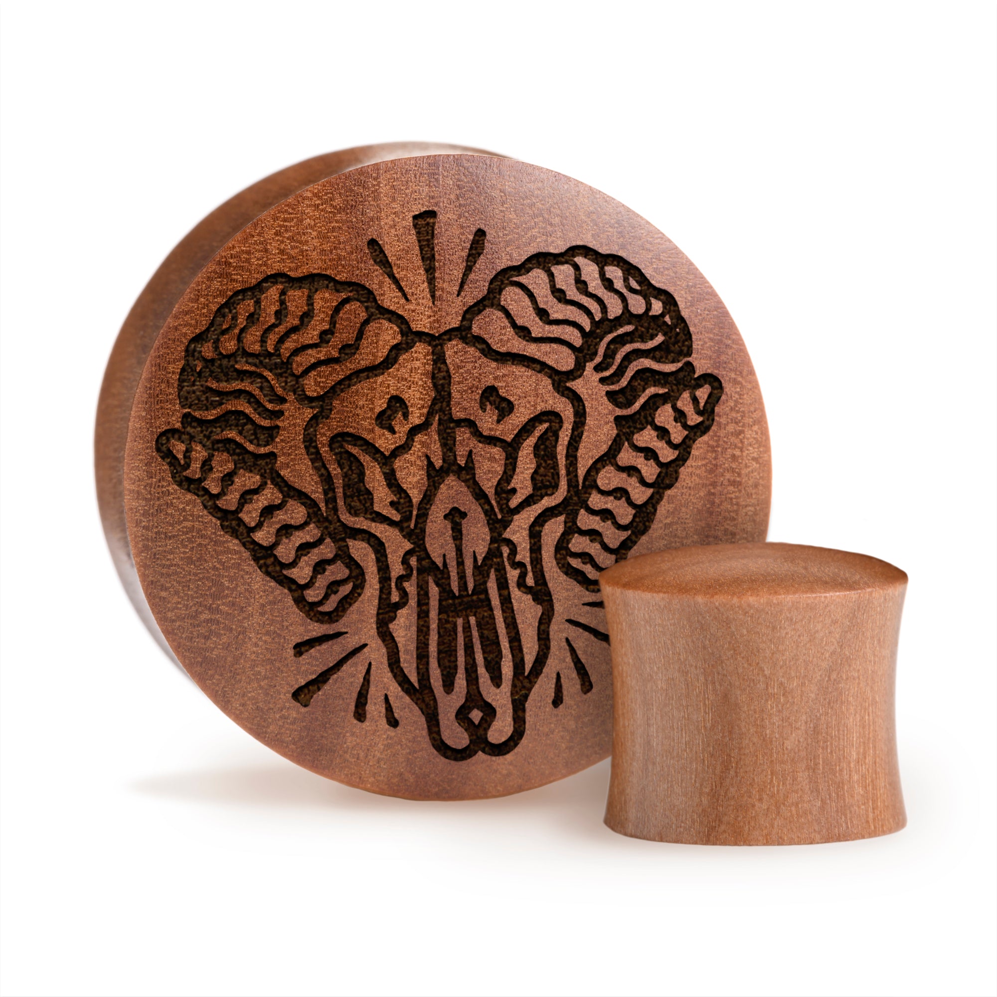 Ram Skull Plug / Gauge - Saba Wood | Convex Double Flare