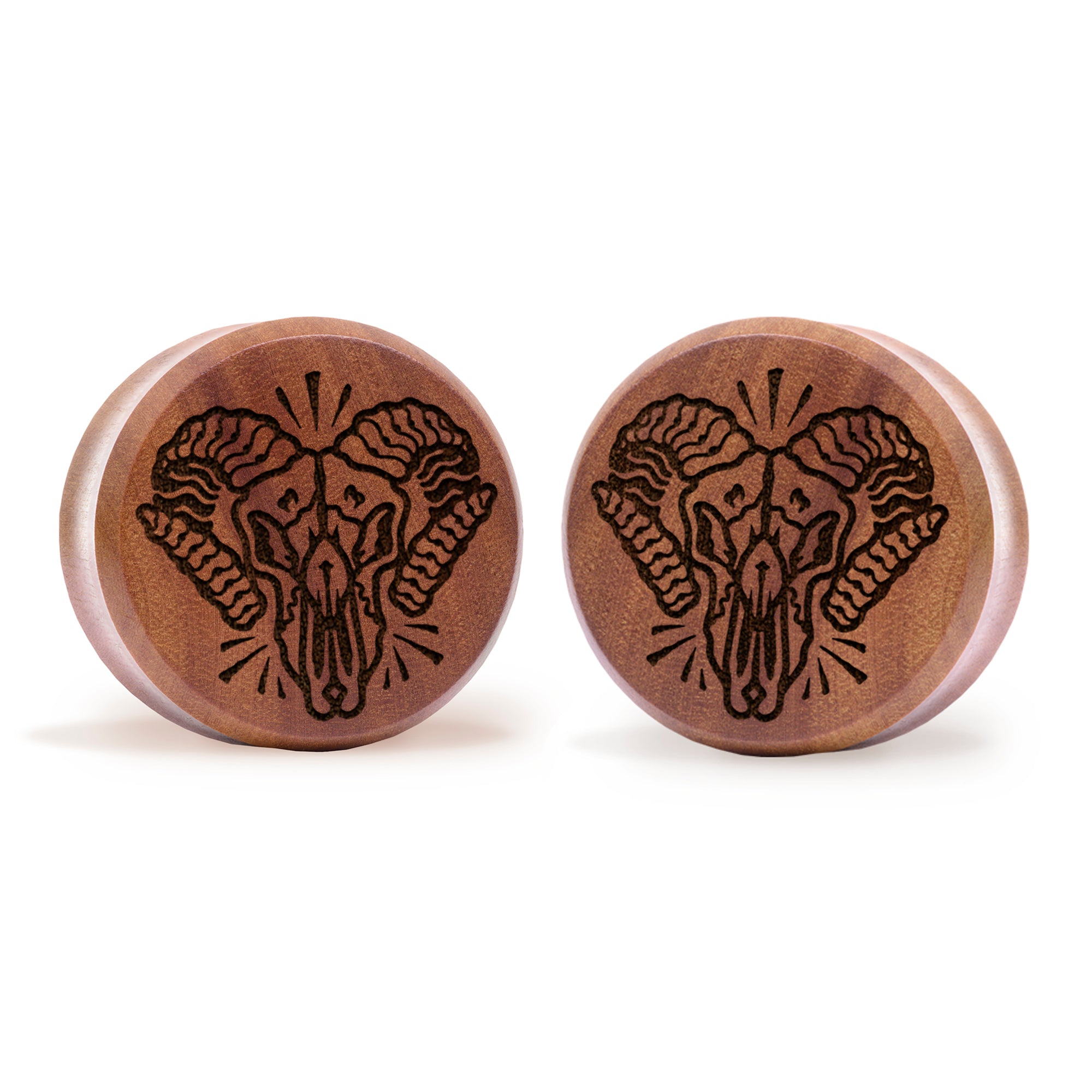 Alternative Tattooed man wearing custom made Sacrificial Lamb Plug / Gauge - Saba Wood | Flat Faced Double Flare